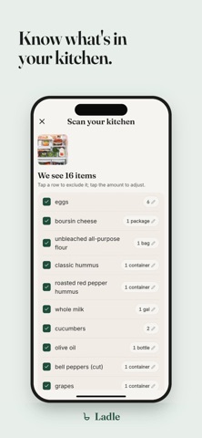Ladle: Recipe & Meal Planner screenshot