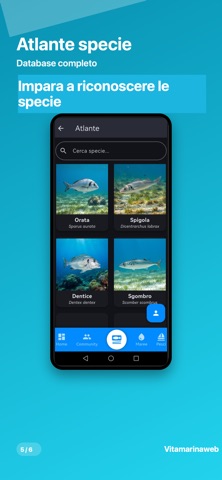 Vitamarinaweb+ iPhone screenshot