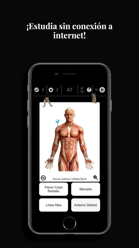Anatomist – Anatomía Juego screenshot 3 of 7