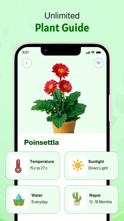 Plant Identifier &Disease Care
