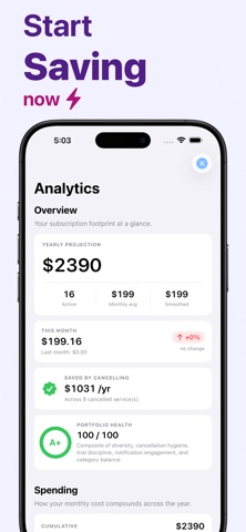 Vault: Subscription Tracker iPhone screenshot