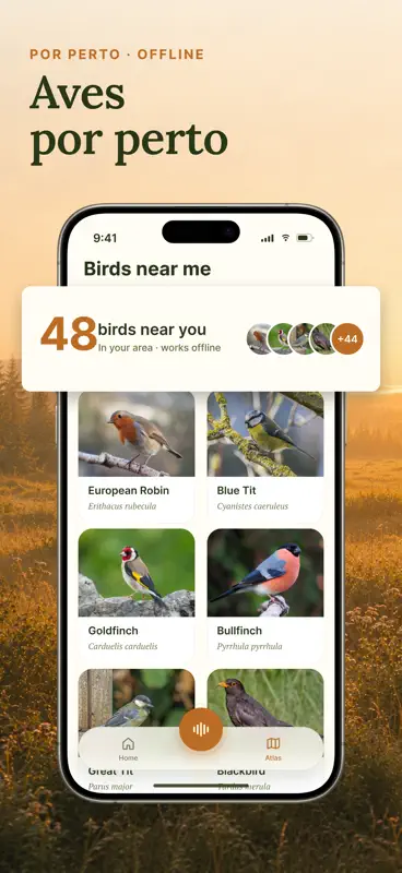 Birdio: Canto de Pássaros screenshot 5 of 5