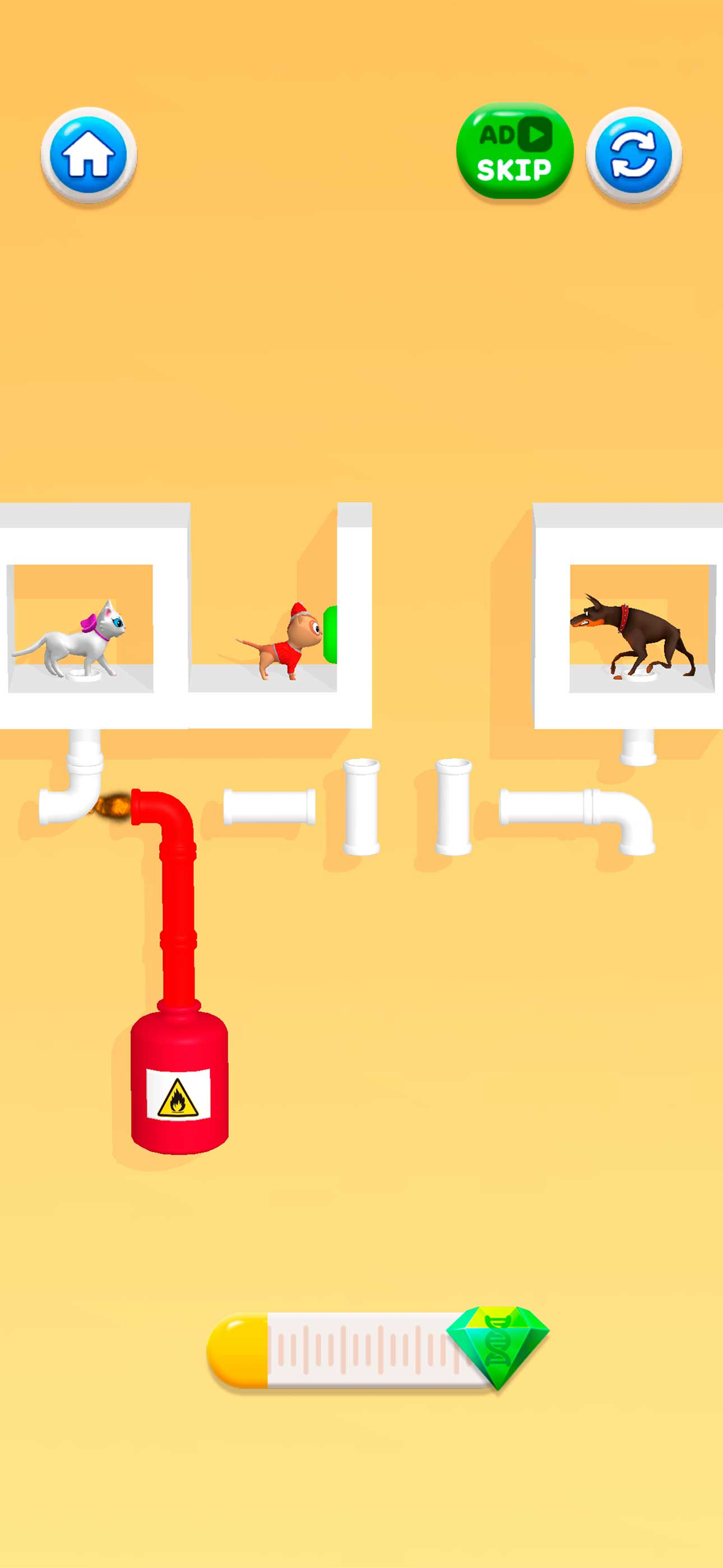 Kitten Pin Pull Adventure