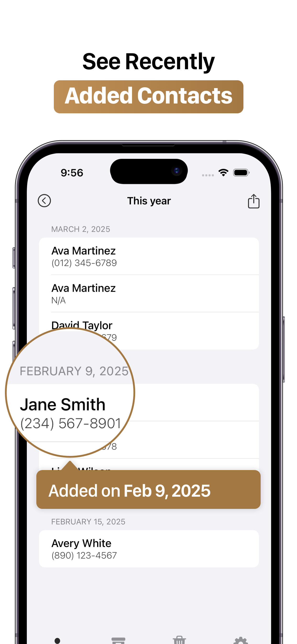 Contacts Export CSV