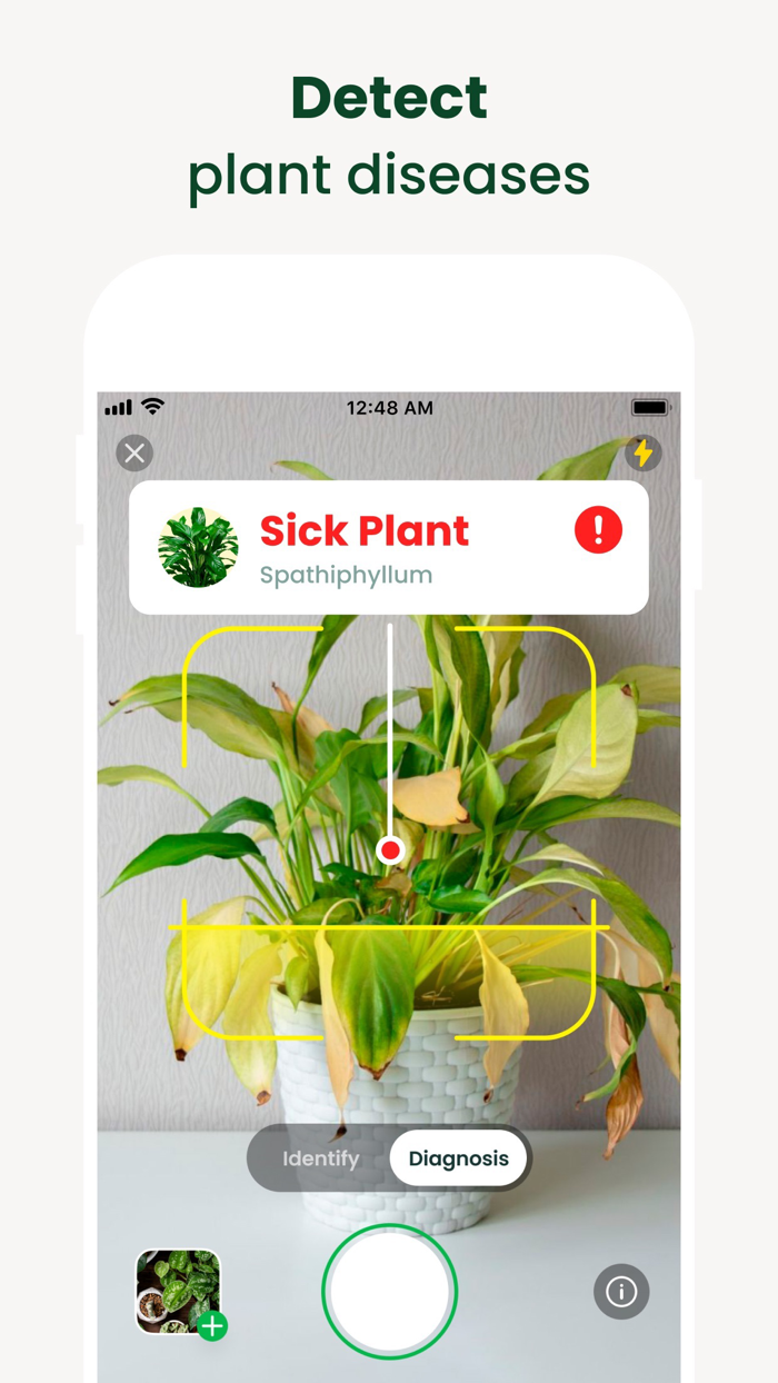 AI Plant Finder Identify Scan