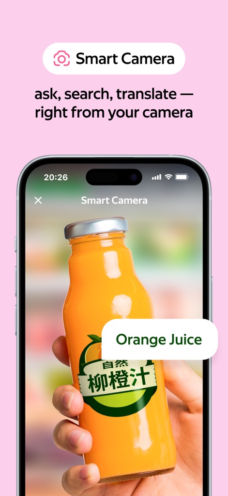 Yandex Browser with Alice AI - Instant Object Recognition