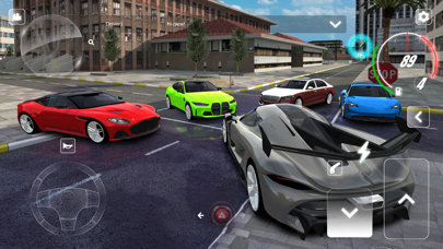 PetrolHead Extreme Car Driving Screenshot
