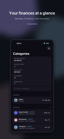 PiggyPulse iPhone screenshot