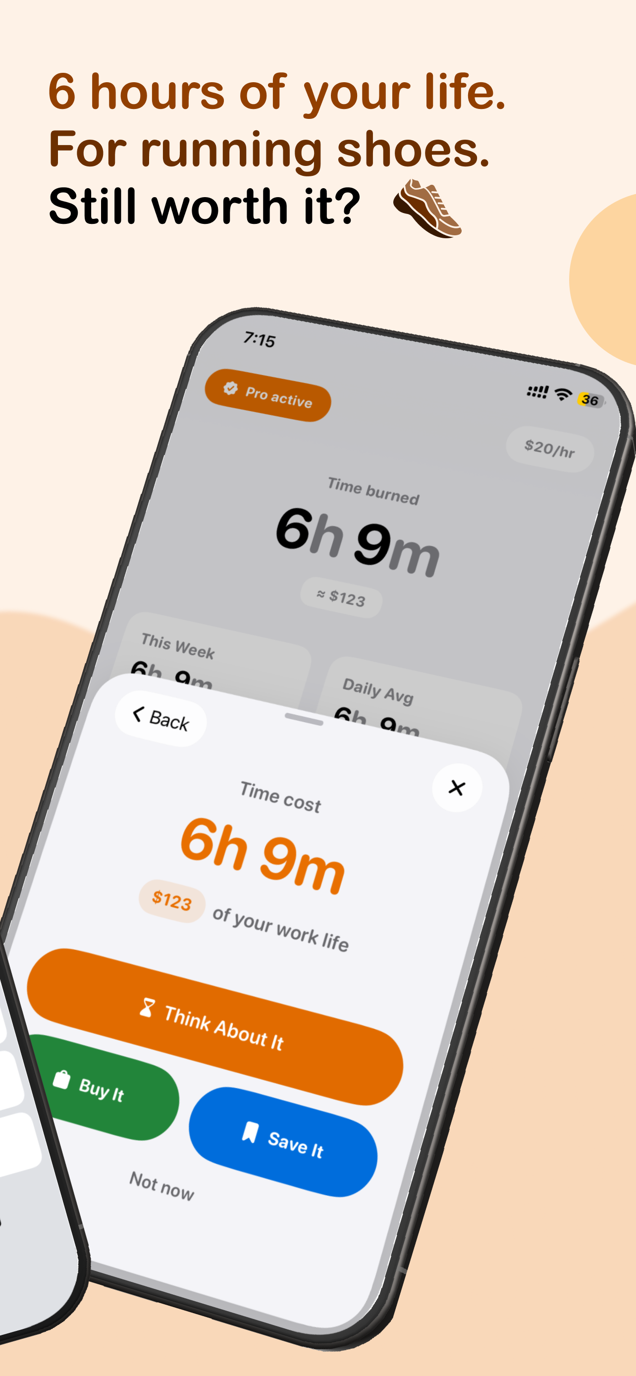 LifeBurn: Real Cost Calculator screenshot 5