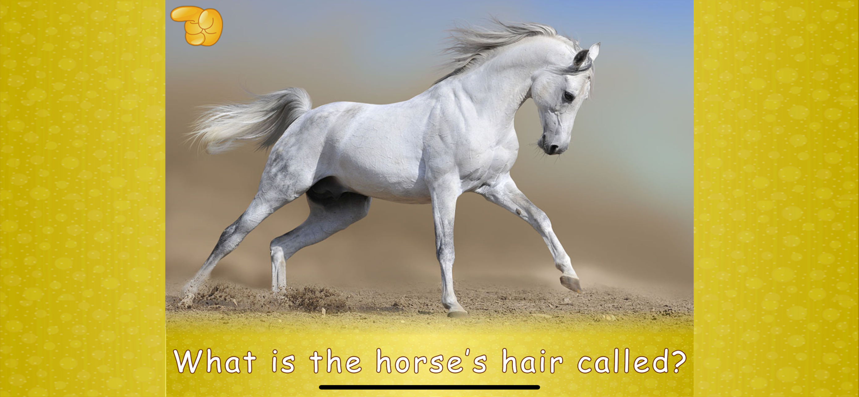 Animal picture games for kids. screenshot 6