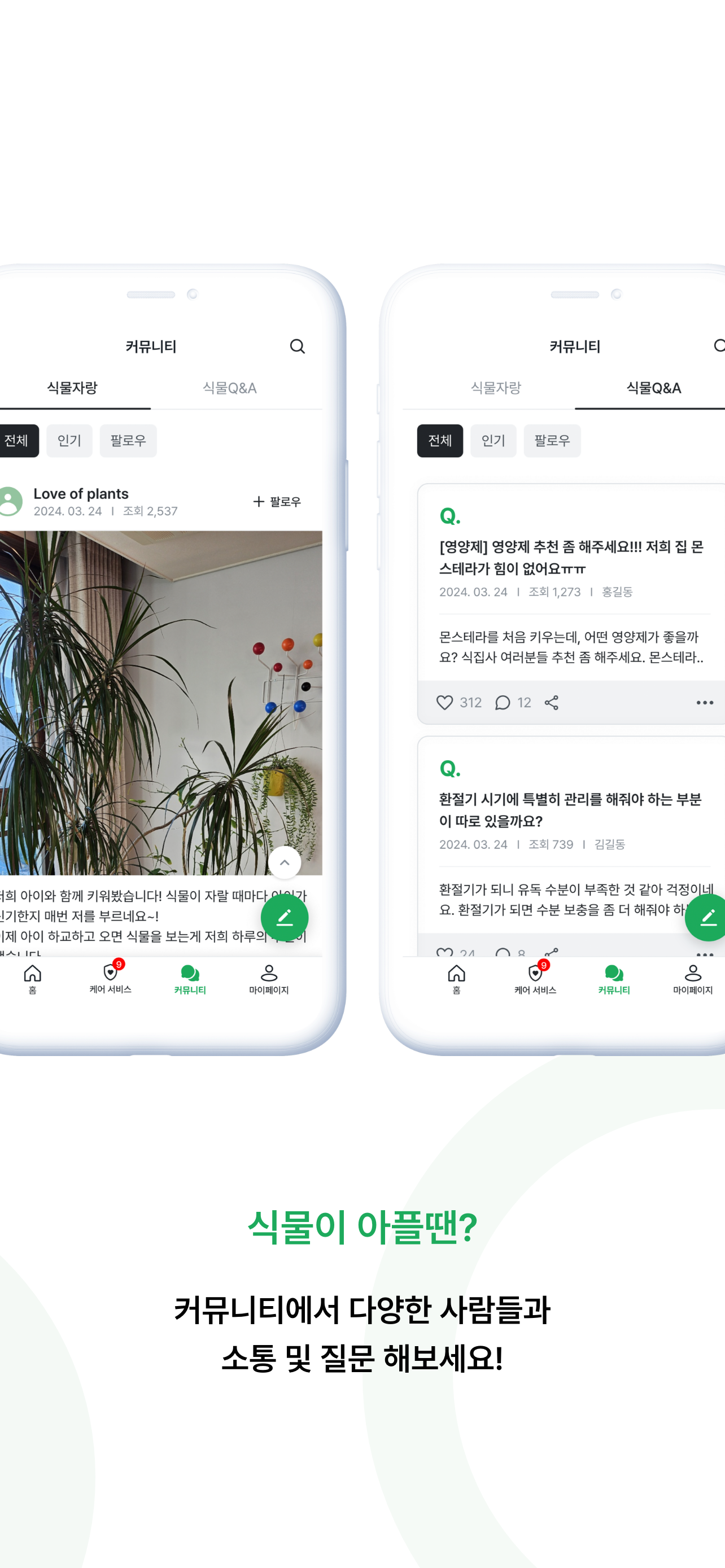 식물이야기
