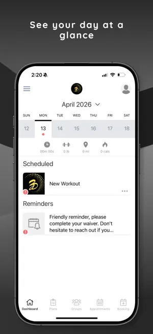 ZDT: Online screenshot 2