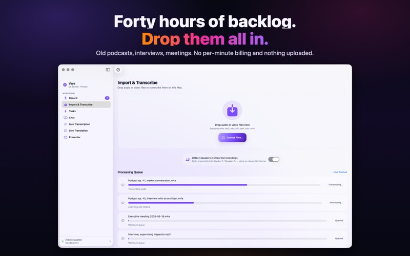Vays: Voice Memos & Local AI screenshot