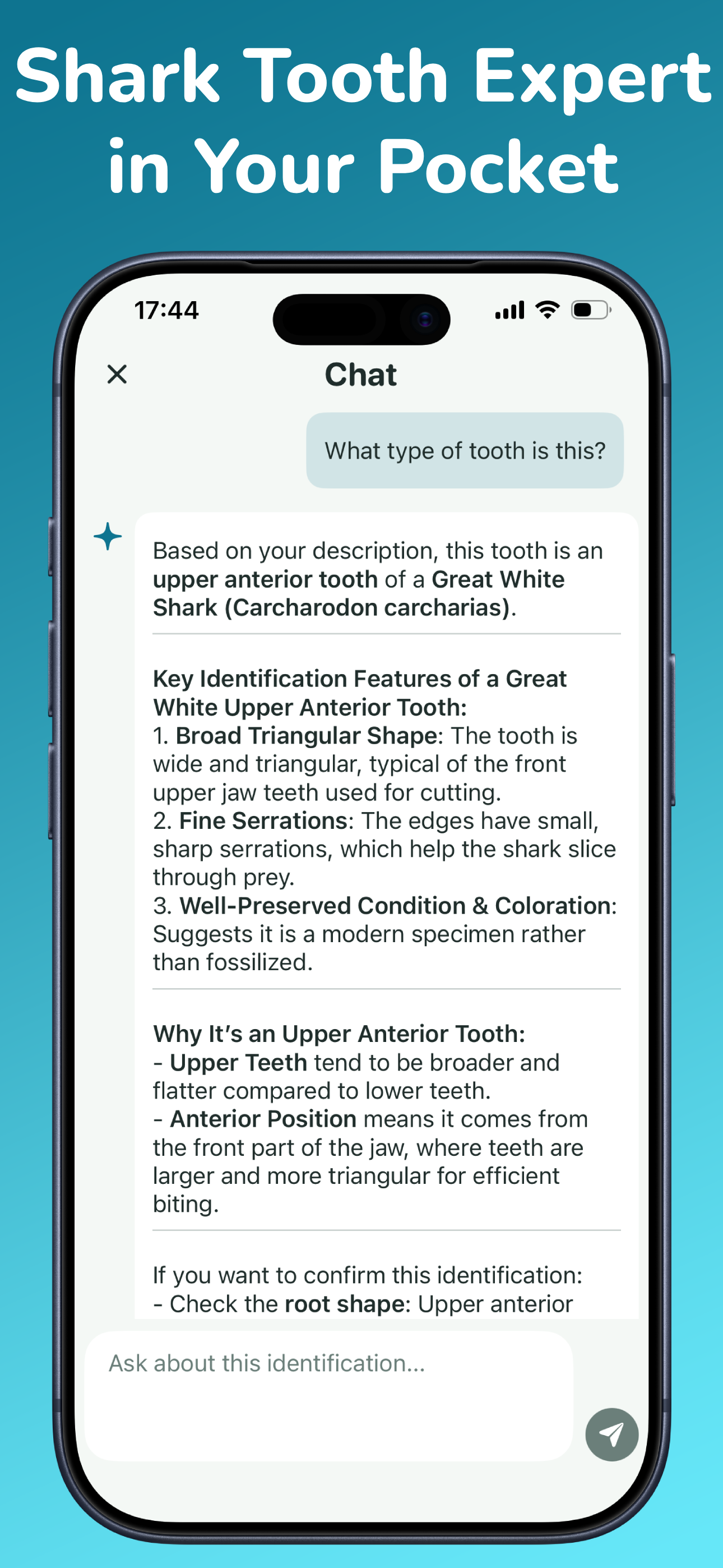 Shark Tooth Identifier:AI Scan screenshot 6