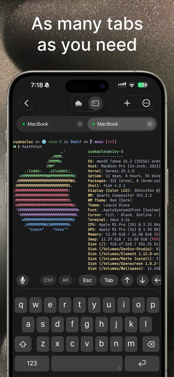 #4. VVTerm (iOS) Podle: Vivy Technologies