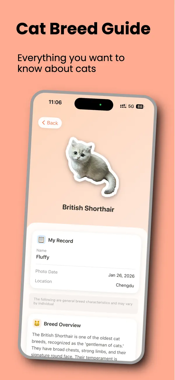 #3. MeowKnow (iOS) بواسطة: 新奇 刘