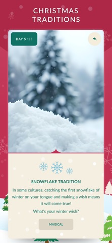 Festive Xmas Advent Calendar iPhone screenshot