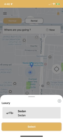 Niya Drive screenshot