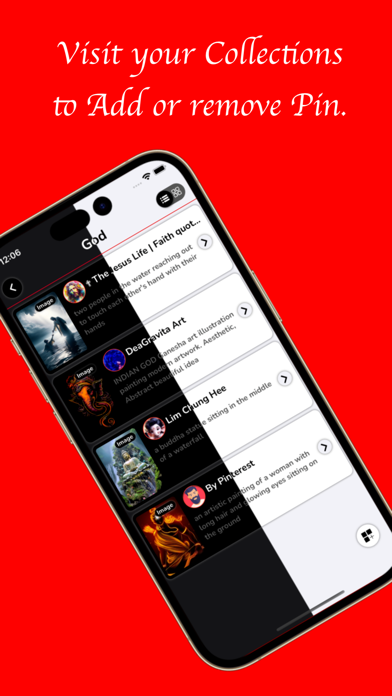 Pin Video Screenshot