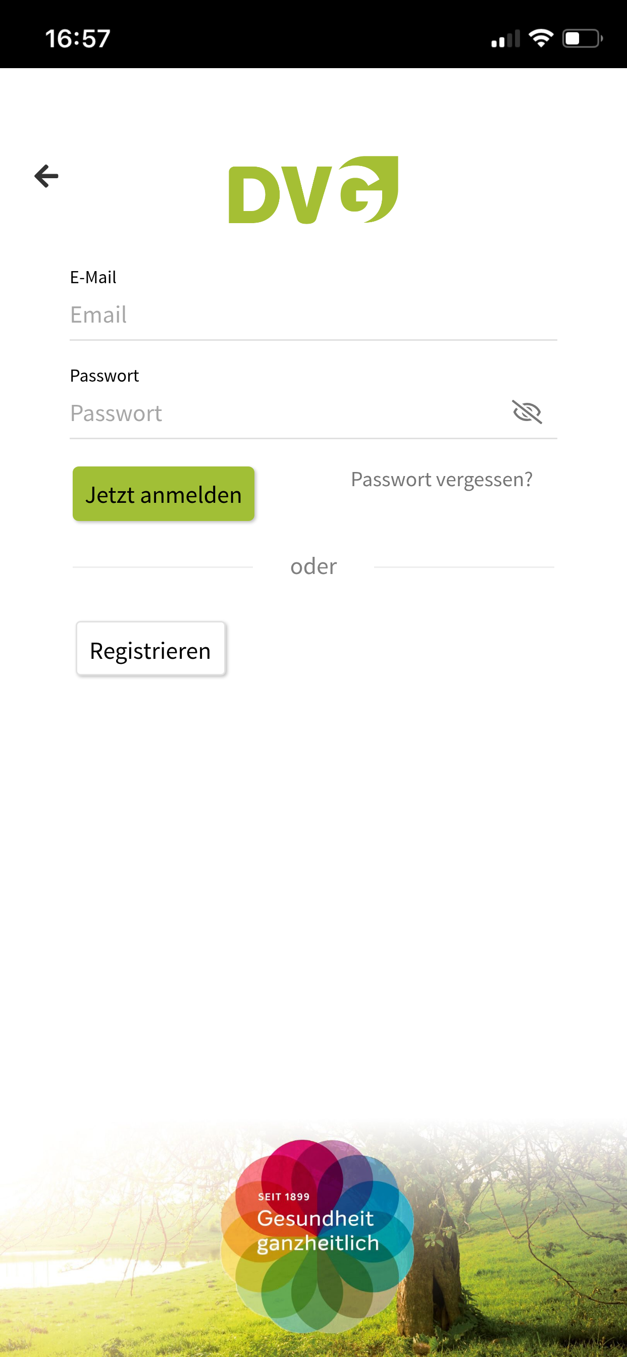 DVG screenshot 3