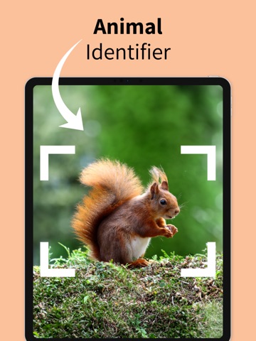 Animal Identifier - Nature ID ipad screenshot 2