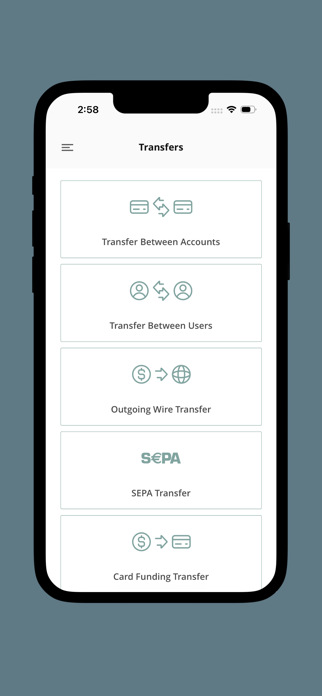 Paymiq Screenshot 6 of 8