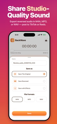 Reverse Audio Voice: BackWave screenshot 5