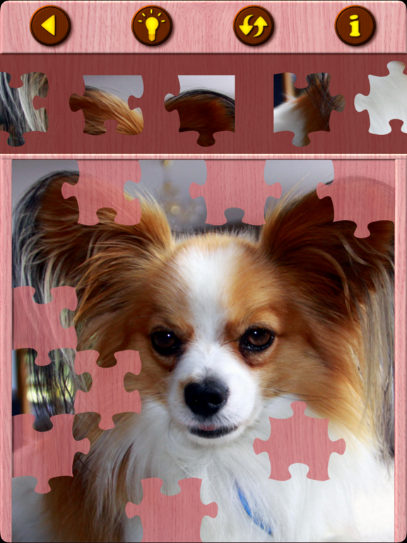 Cute Puppy Jigsaw Puzzle Gamesのおすすめ画像9