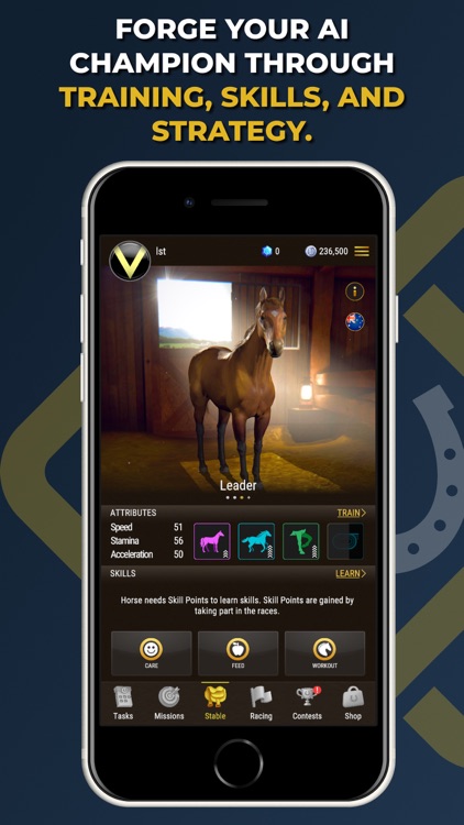 Owners Club: Stakes Racing