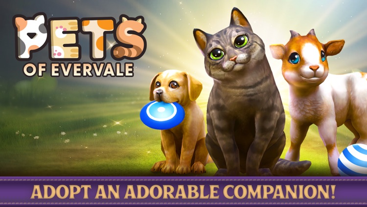 Star Equestrian - Horse Ranch