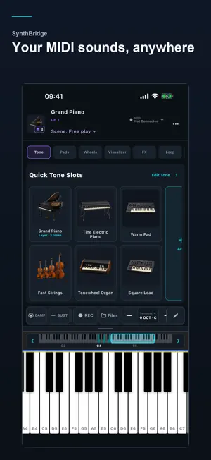 SynthBridge MIDI Synth screenshot 1
