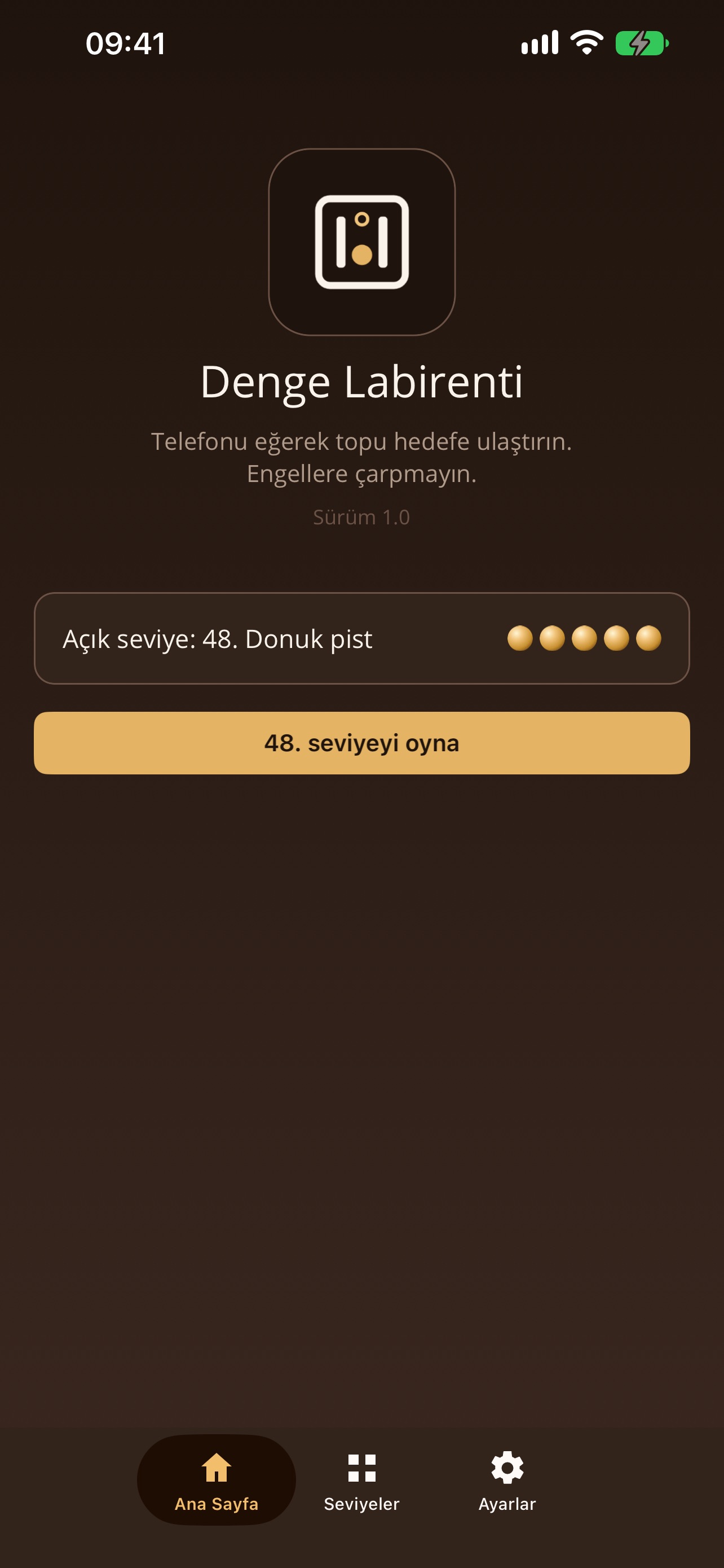 Screenshot 1 of Denge Labirenti