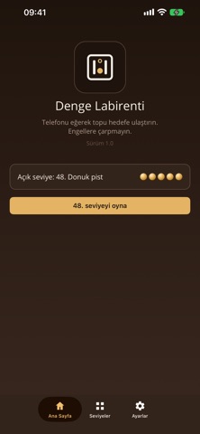 Denge Labirenti Screenshot 1 of 5