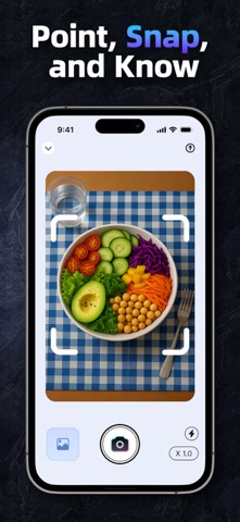 AI Cal Counter - Food Tracker screenshot