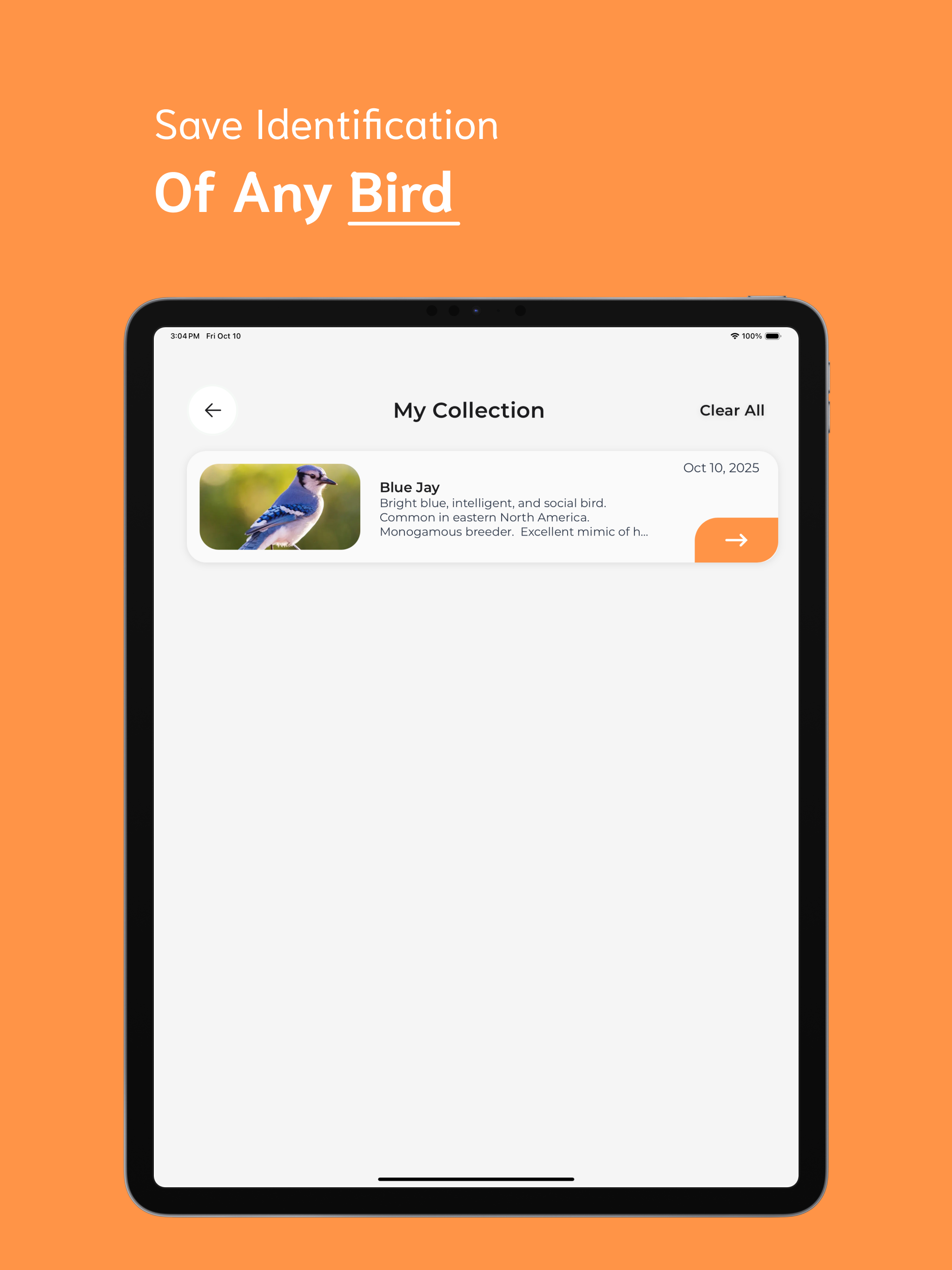 Bird Identifier - BI screenshot 10