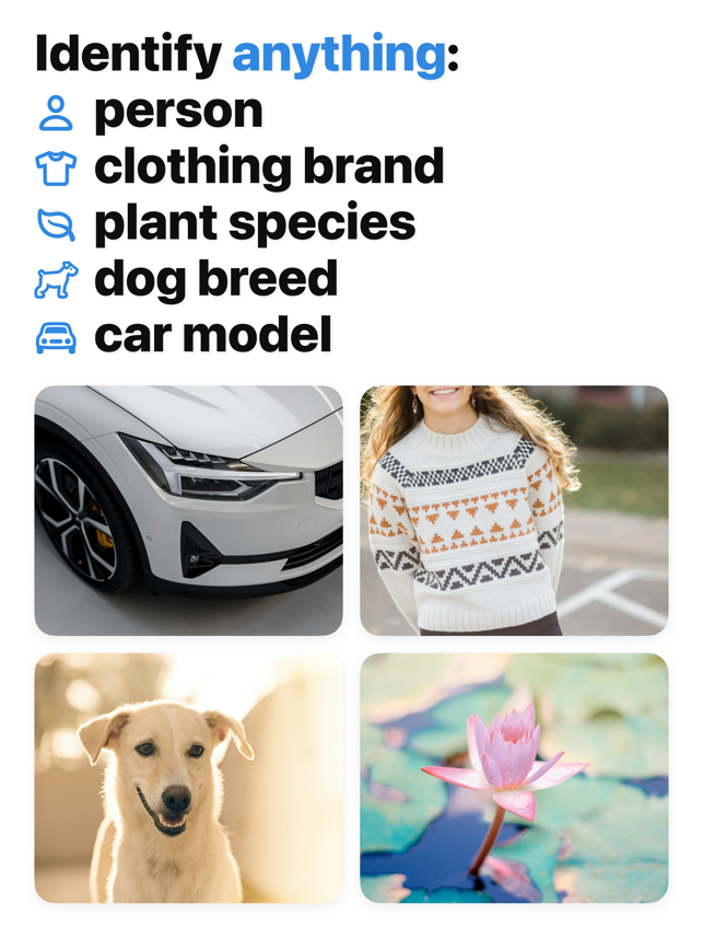 Reverse Image Search: Eye Lens Screenshot