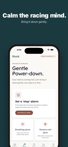 Stuck: ADHD Energy Toolkit Screenshot 3 of 6