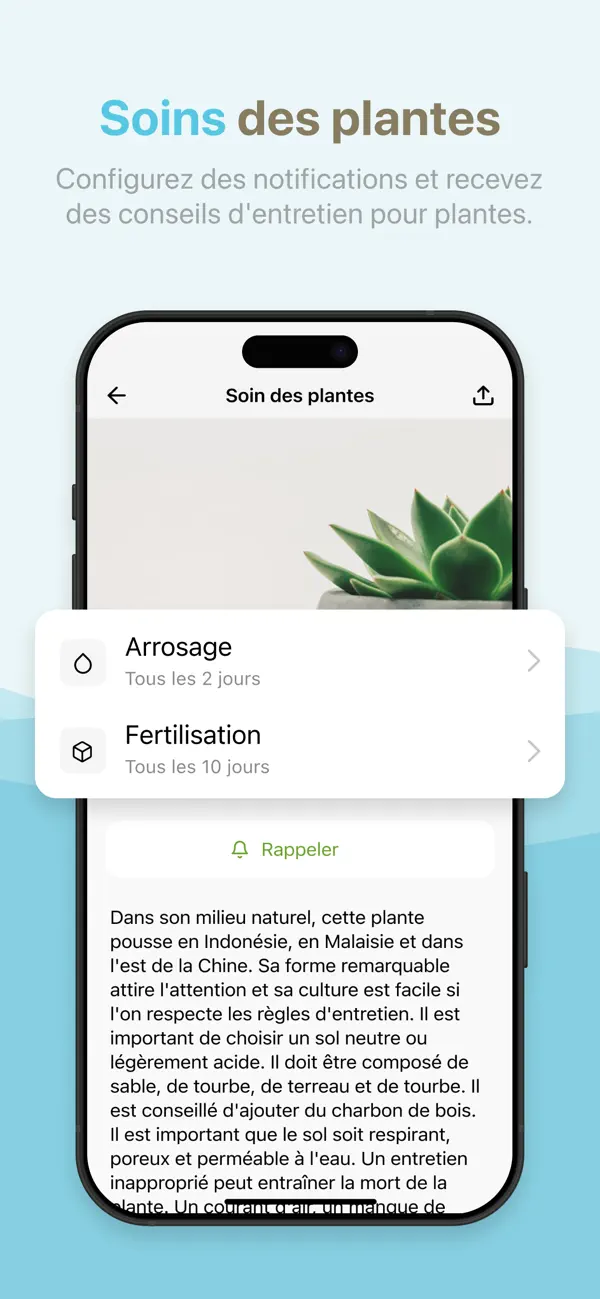 Screenshot #2 pour Reconnaitre fleurs et plantes!