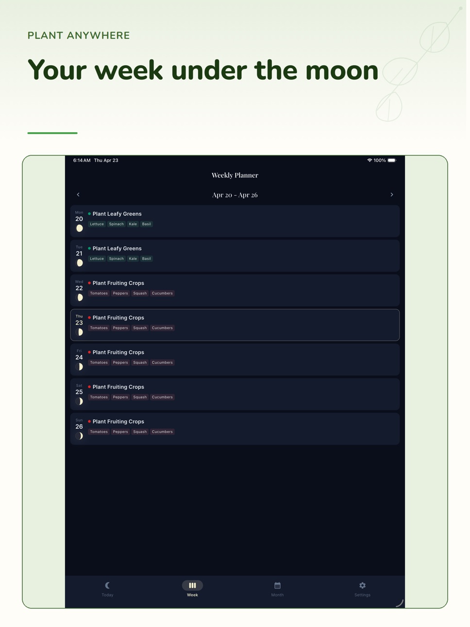 iPad screenshot