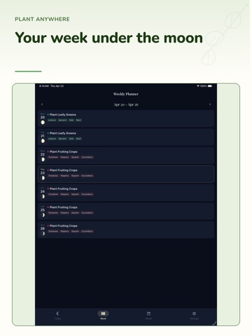 Moon & Sow iPad screenshot