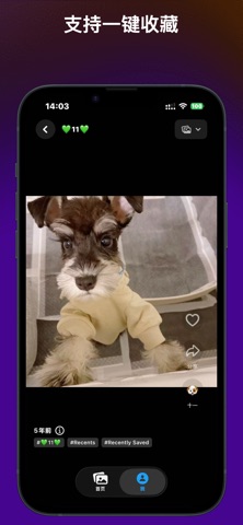 Life Feed screenshot