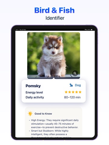 AI Lens: Identify Anything + iPad screenshot