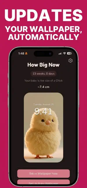 How Big Now: Baby Size Tracker screenshot 2