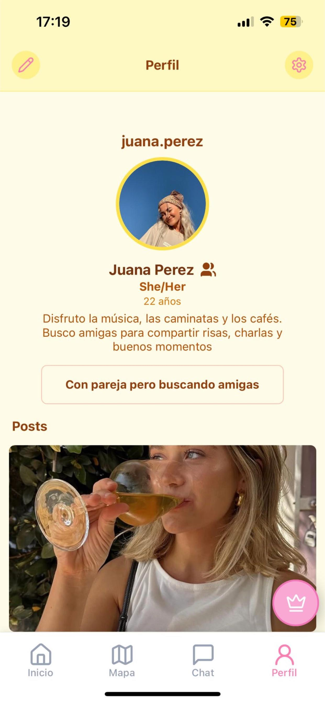 Safinder screenshot 2