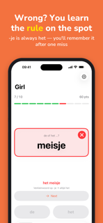 Lidwoordje – Dutch: de of het screenshot 2