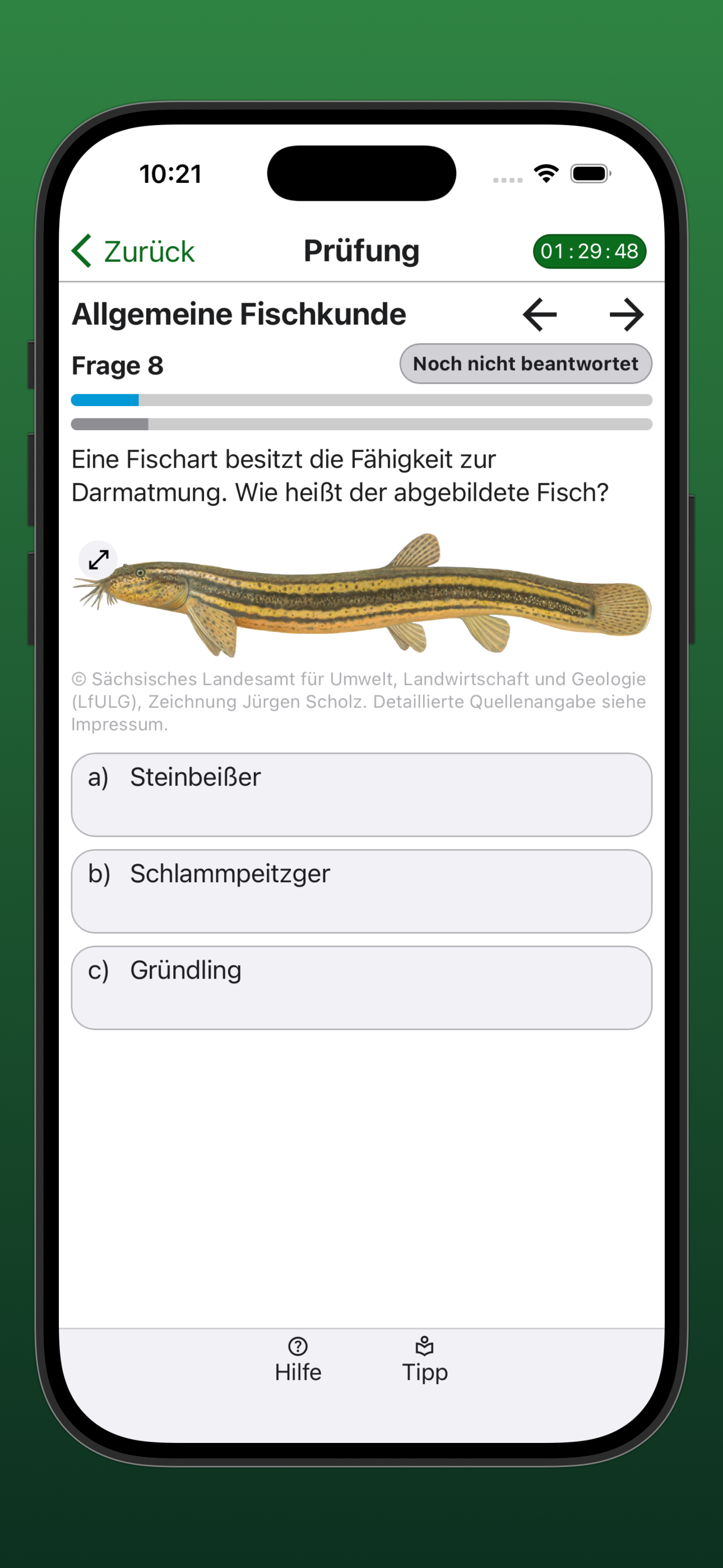 Fischer Lernfragen Sachsen