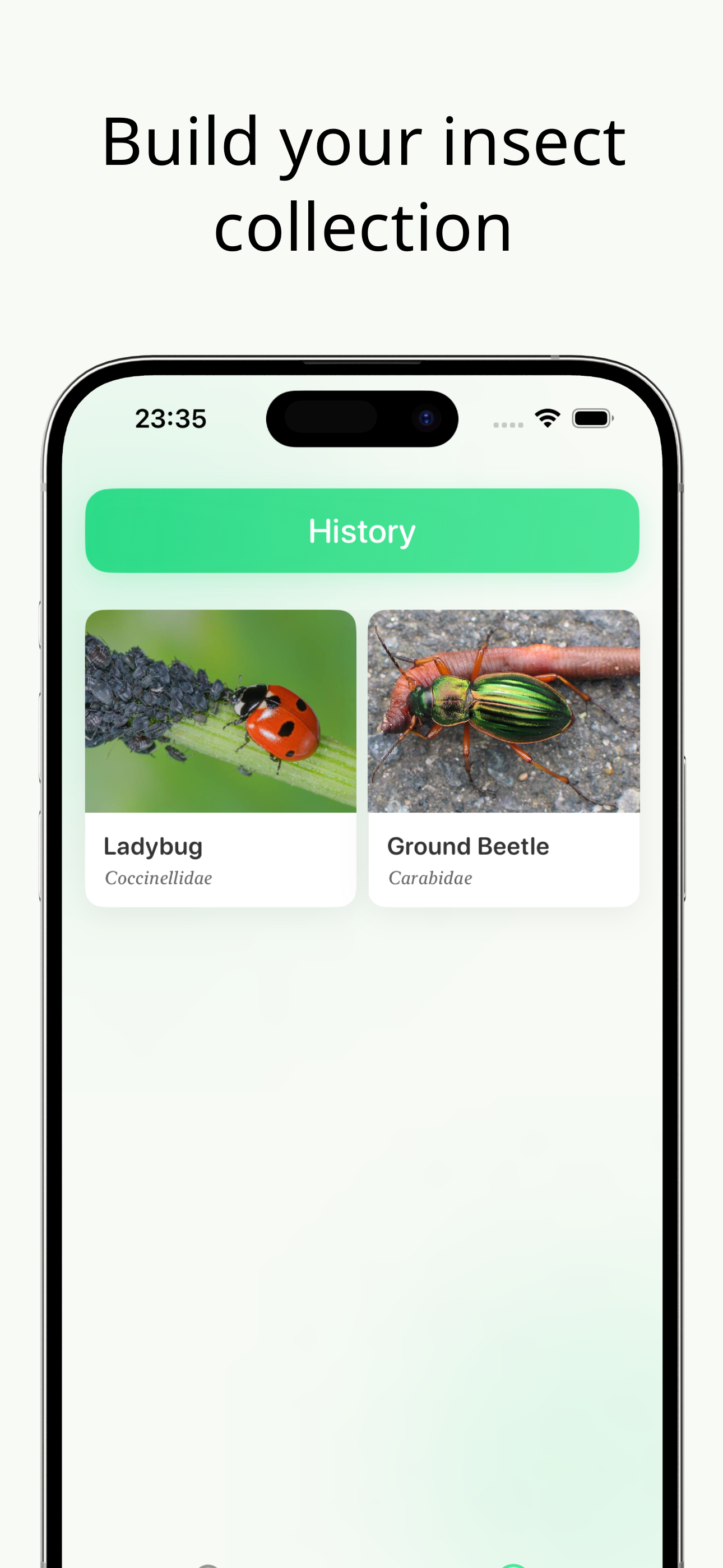 Insect AI - insect identifier screenshot 5