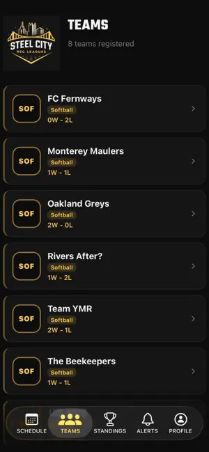 Steel City Rec Leagues screenshot 2