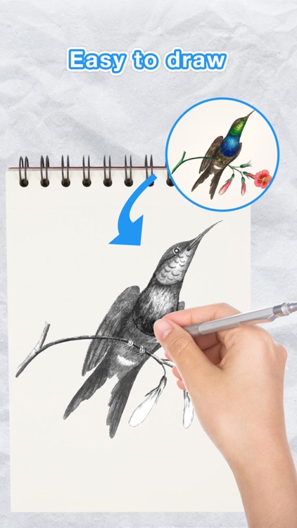 AR Sketch - Easy Drawing