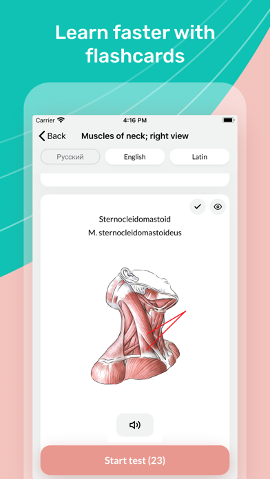 Easy Anatomy 3Dのスクリーンショット - 3